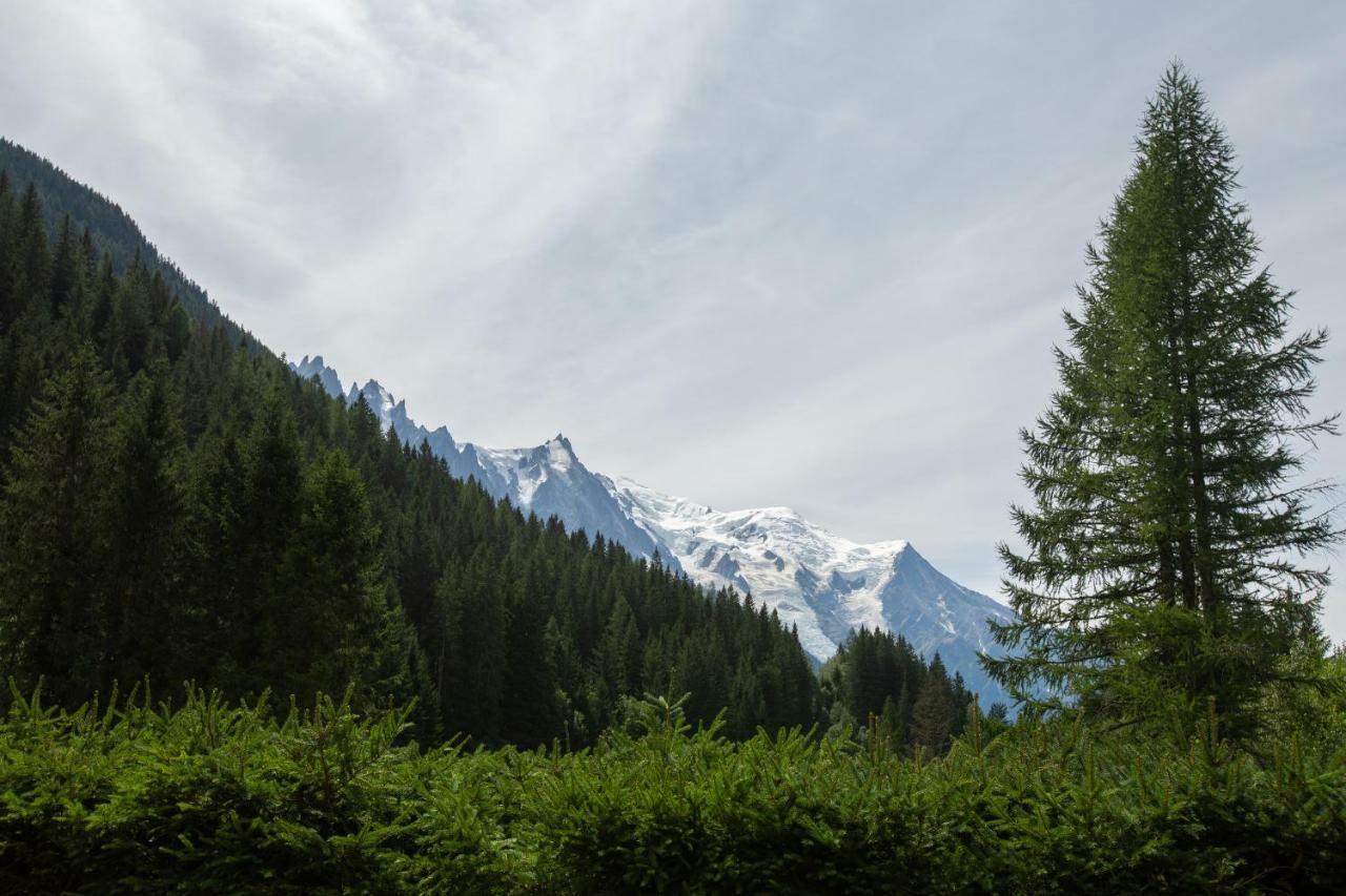 Chalet L'Ilet - Happy Rentals Chamonix Bagian luar foto
